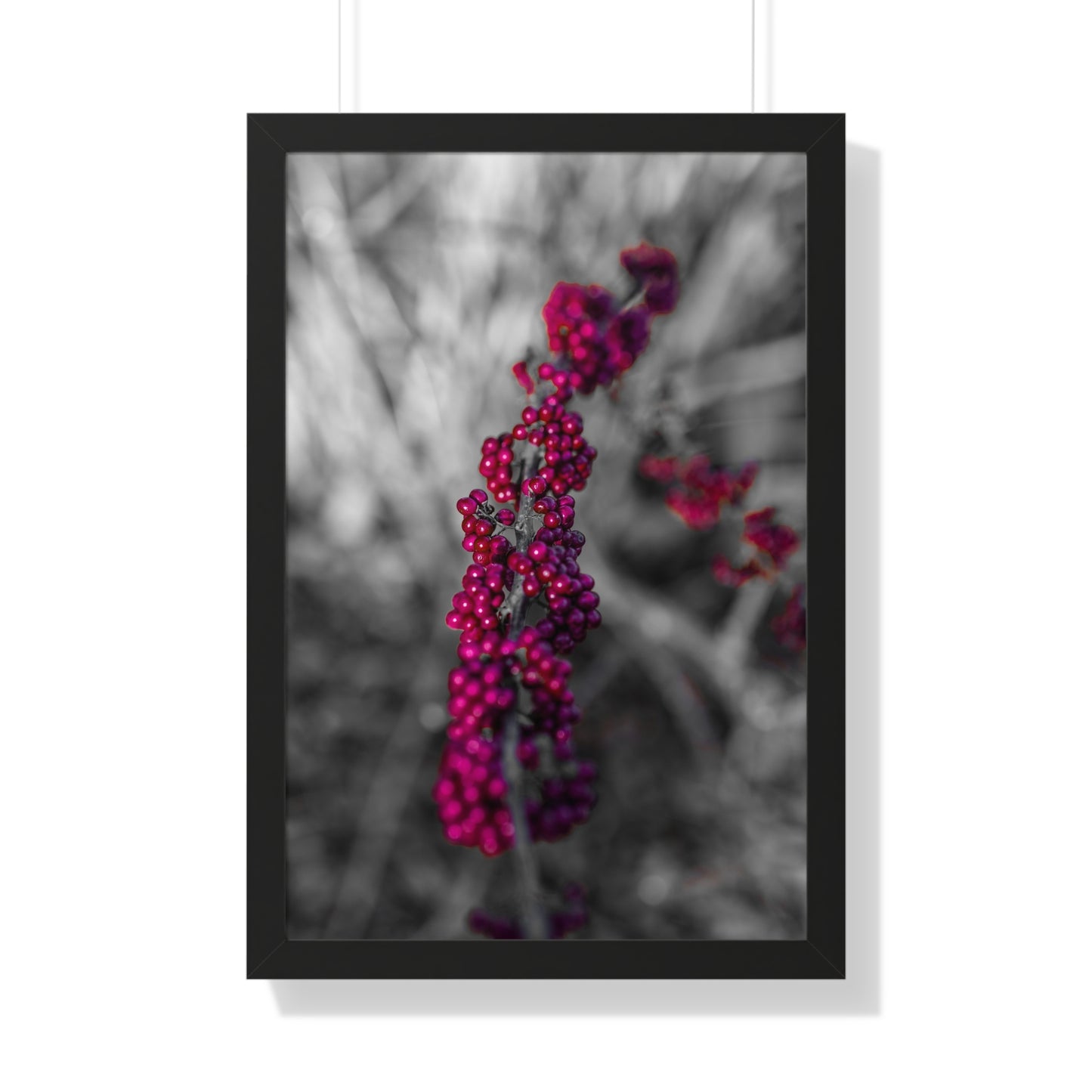 Bold Berries in Monochrome Photography Print