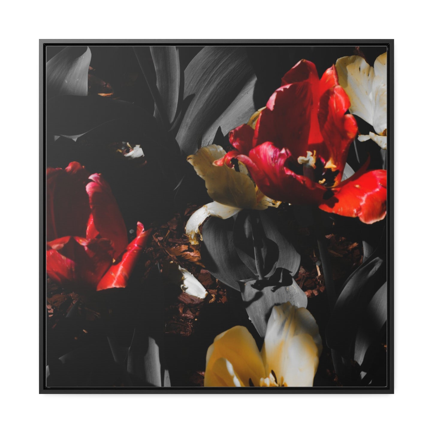 Cheekwood Gardens Blooms: Framed Canvas Print