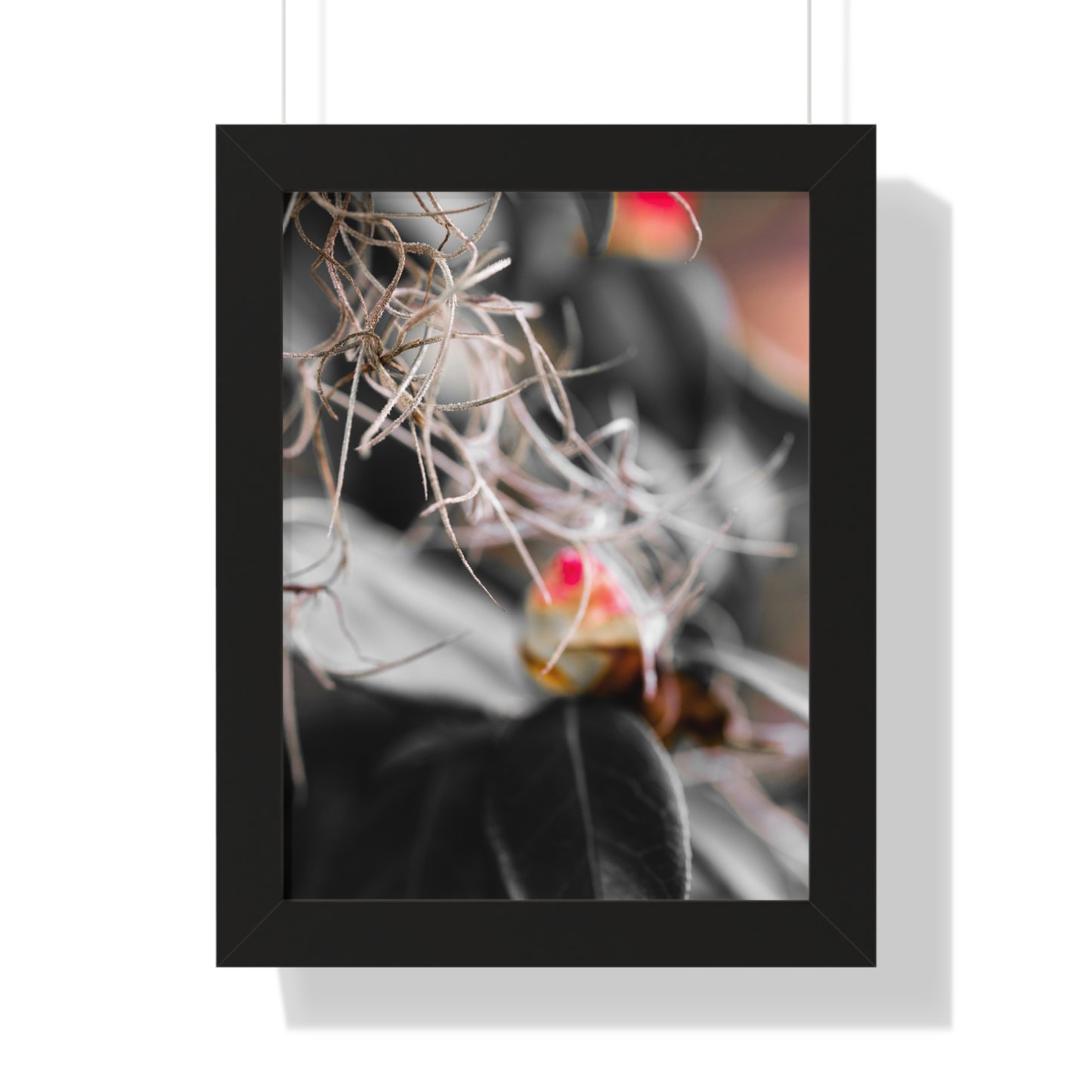 Delicate Flora with a Hint of Color Photography Print