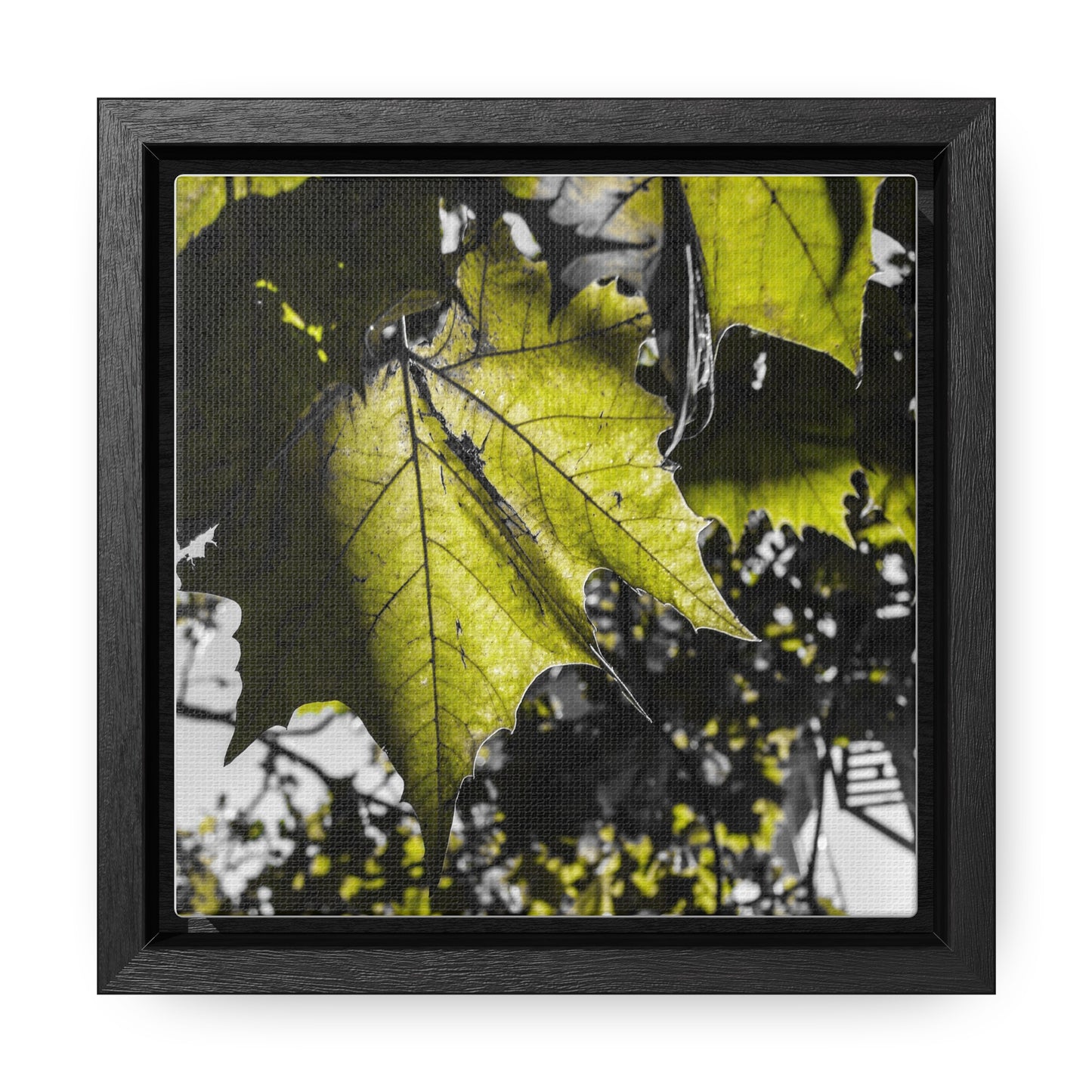 Nature's Detail: Close-Up Leaves Framed Canvas Print