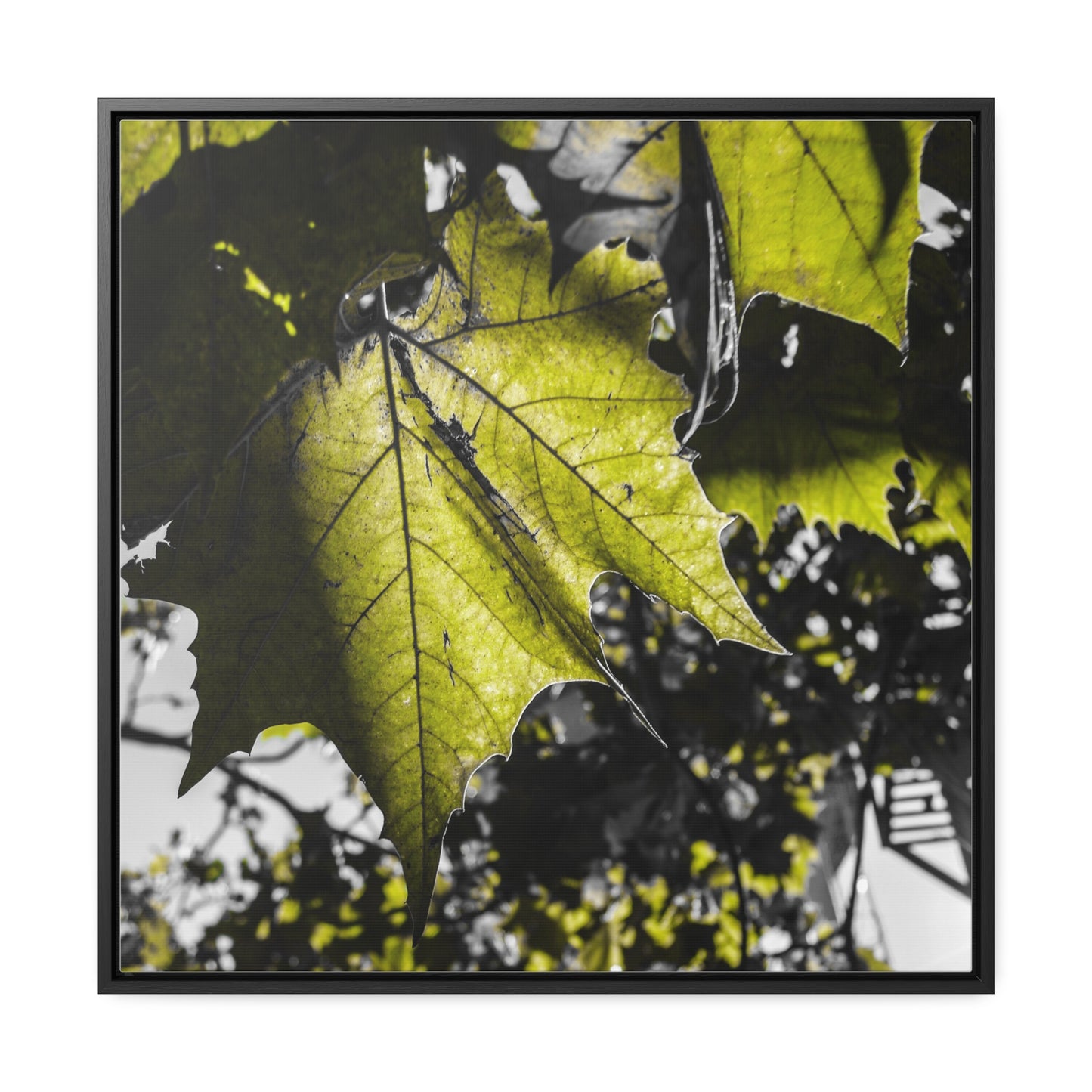 Nature's Detail: Close-Up Leaves Framed Canvas Print