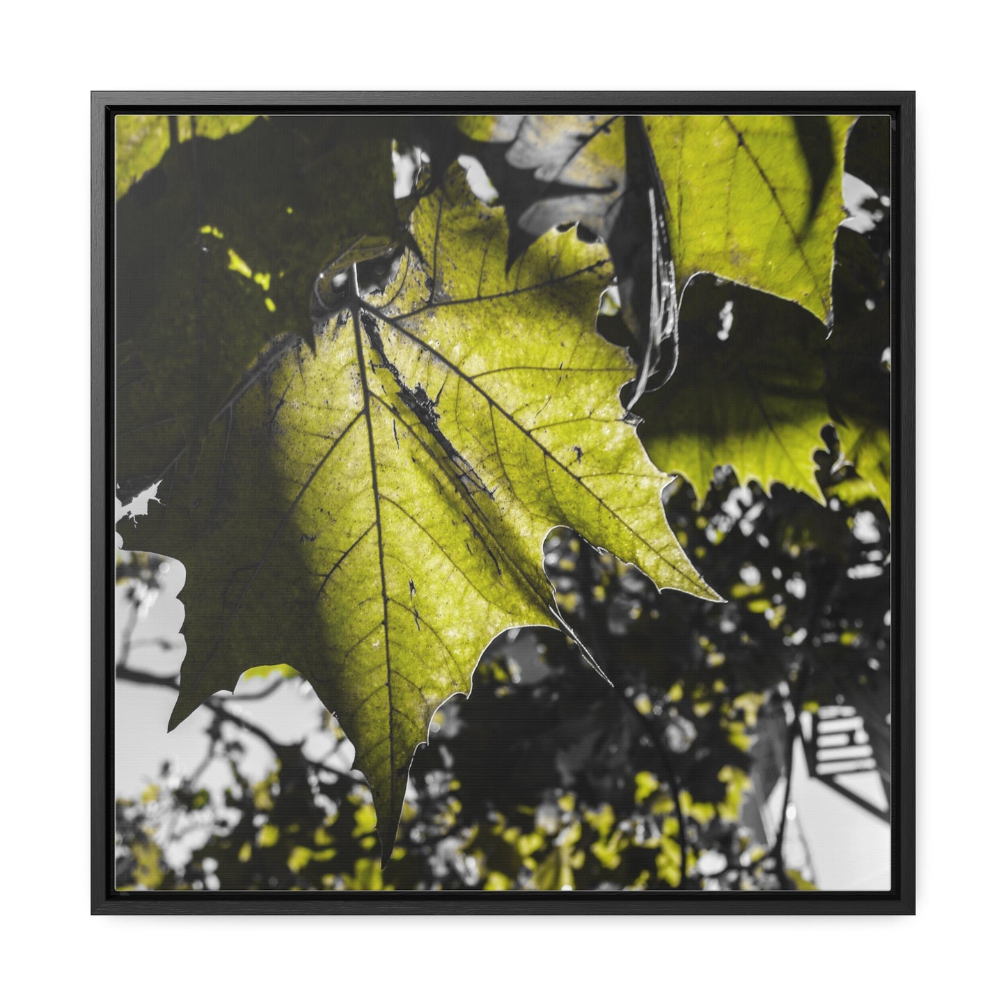 Nature's Detail: Close-Up Leaves Framed Canvas Print