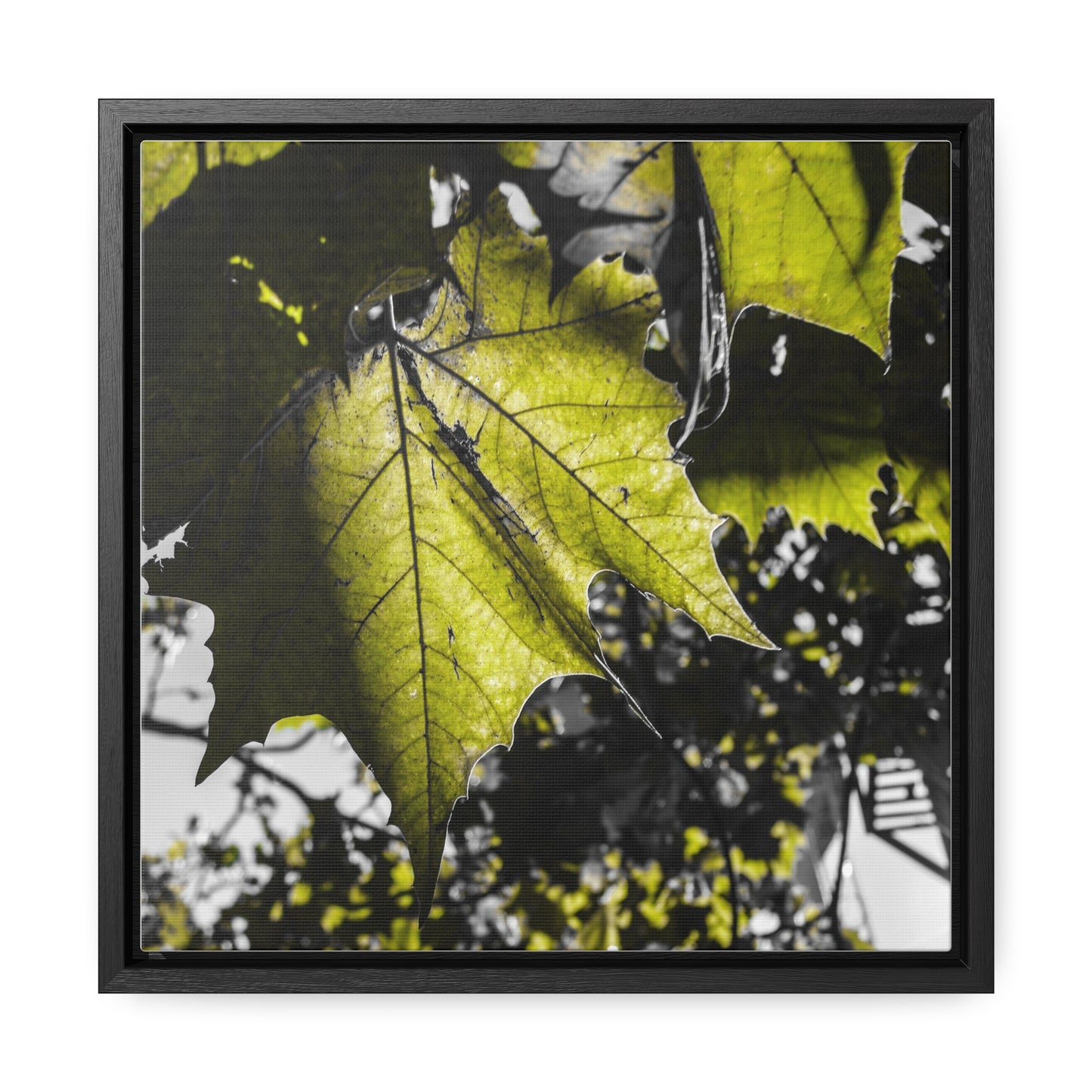 Nature's Detail: Close-Up Leaves Framed Canvas Print