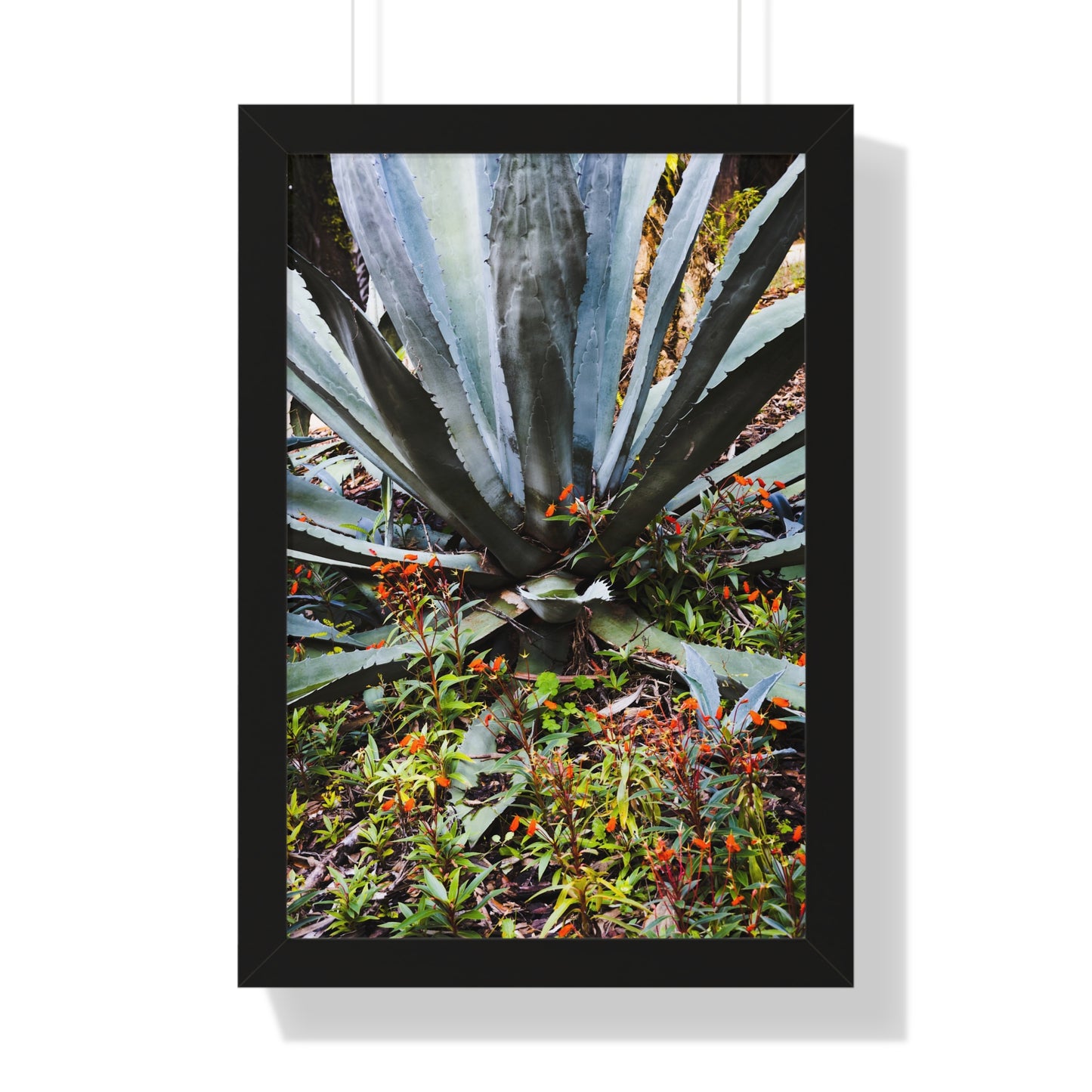 Vibrant Agave and Wildflowers Photography Print