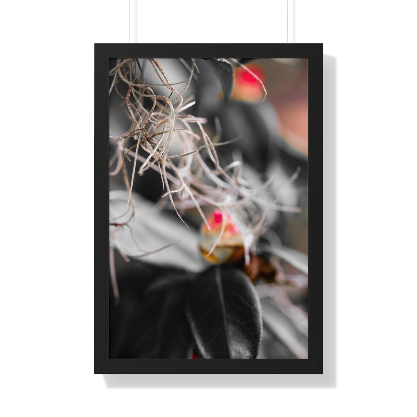 Delicate Flora with a Hint of Color Photography Print