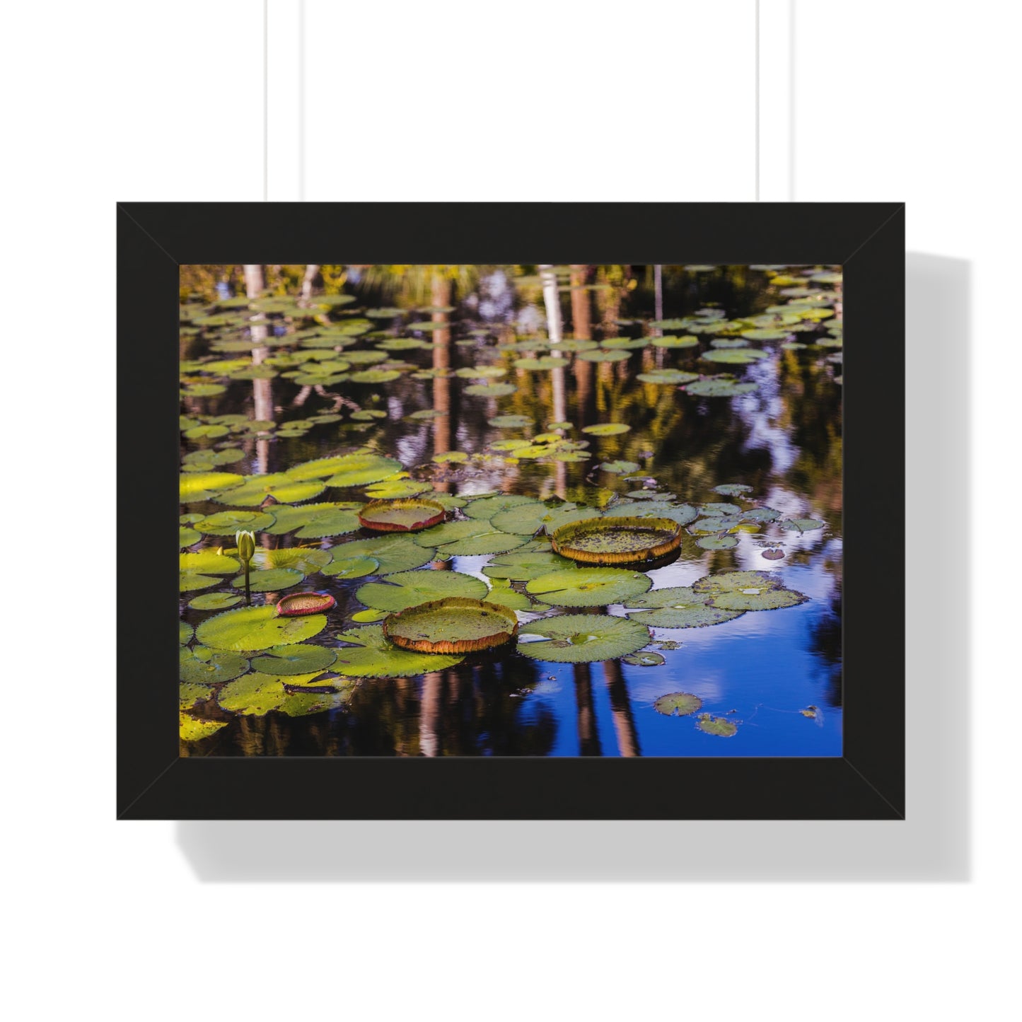 Serene Lily Pads at Bok Tower Gardens-Framed Photography Print