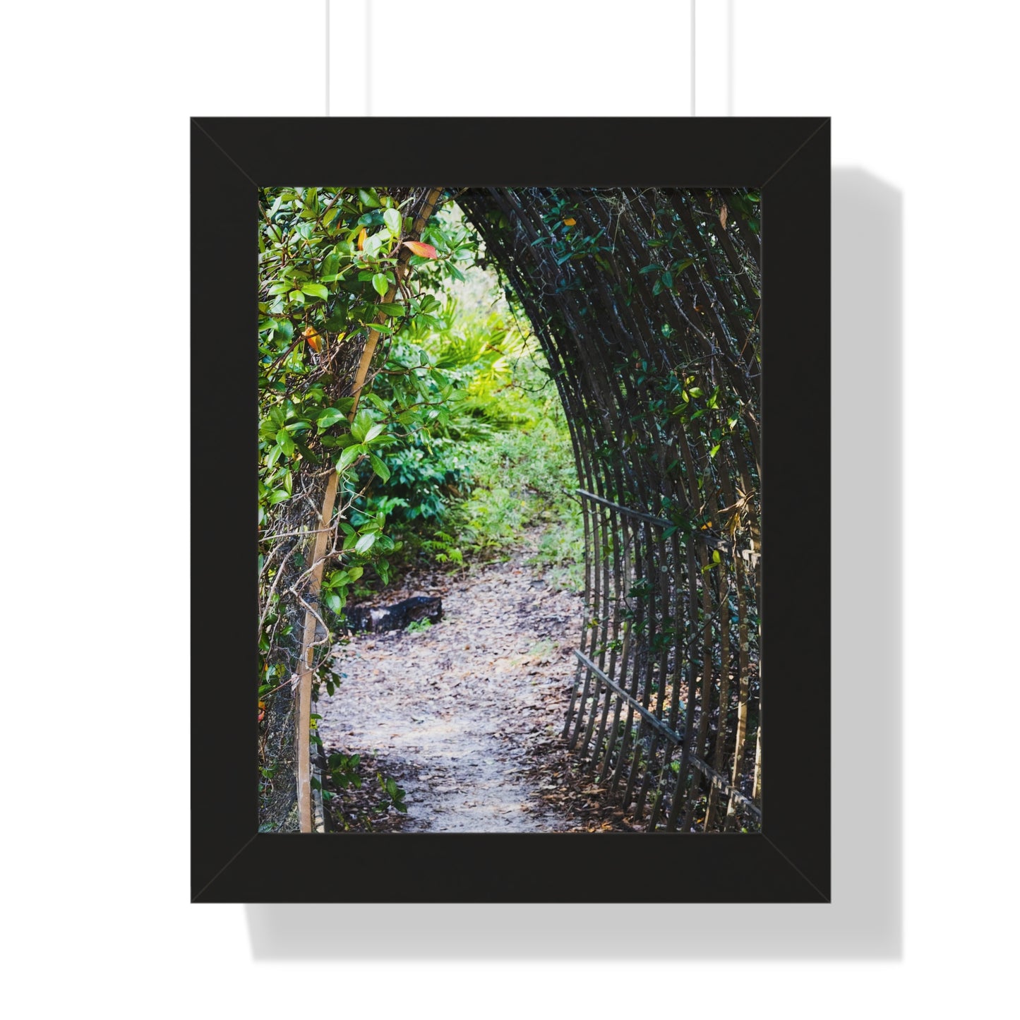 Garden Pathway Through the Arch Photography Print