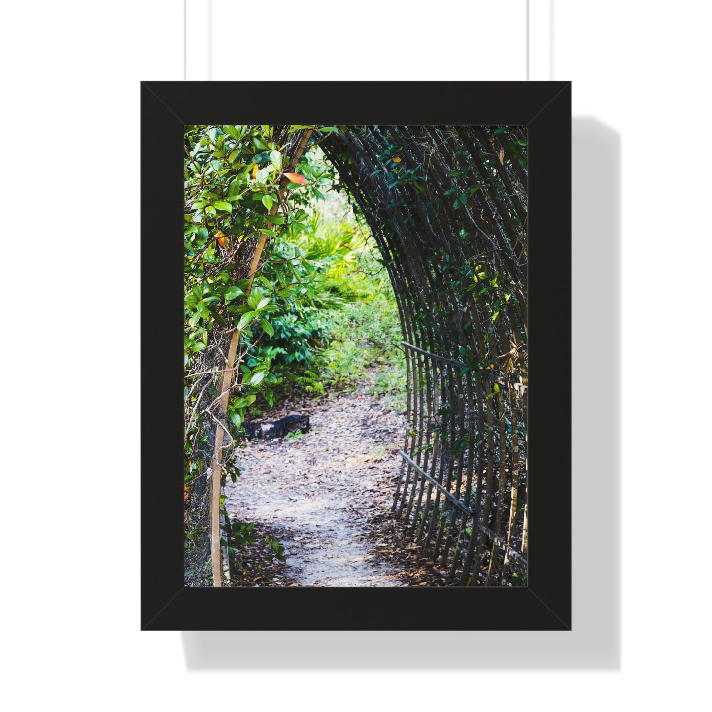 Garden Pathway Through the Arch Photography Print