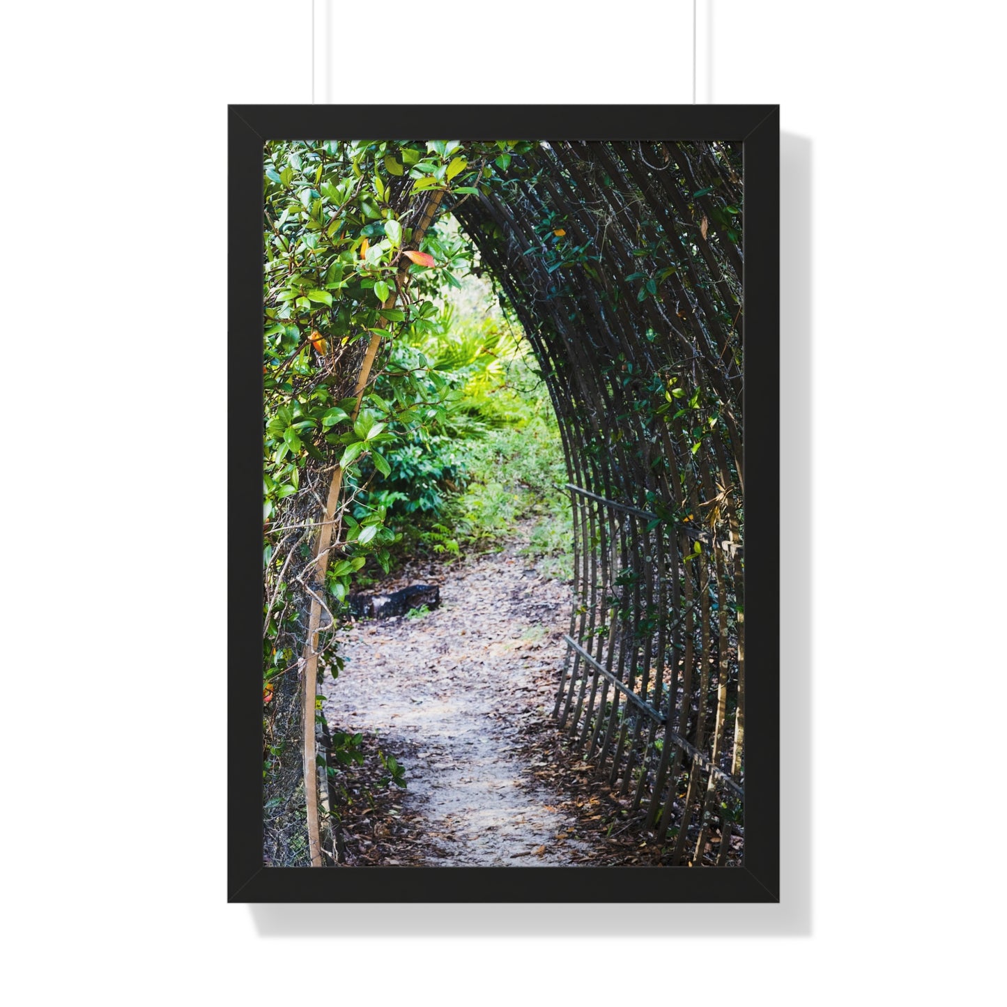 Garden Pathway Through the Arch Photography Print