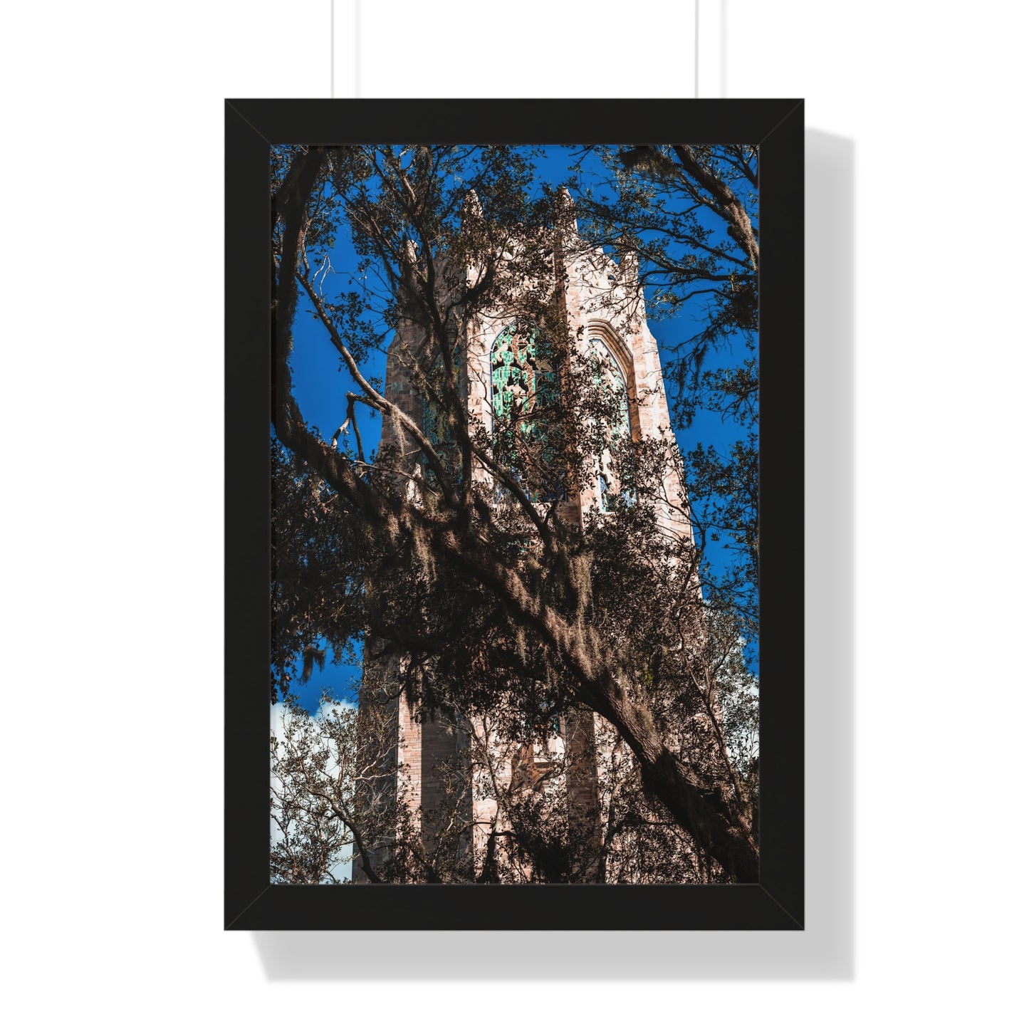 Historic Bok Tower Through the Trees Photography Print