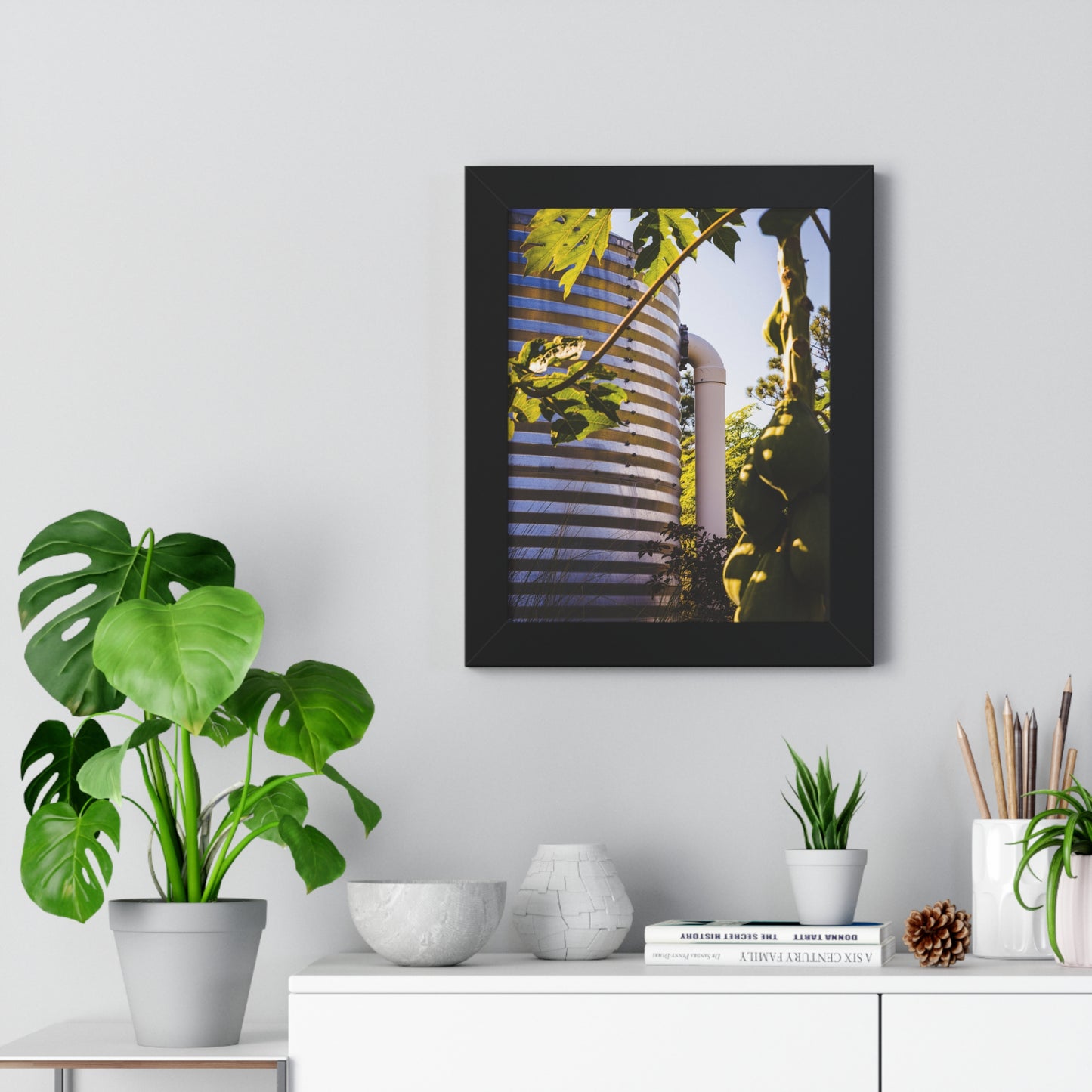 Papaya and Rainwater Tank Photography Print