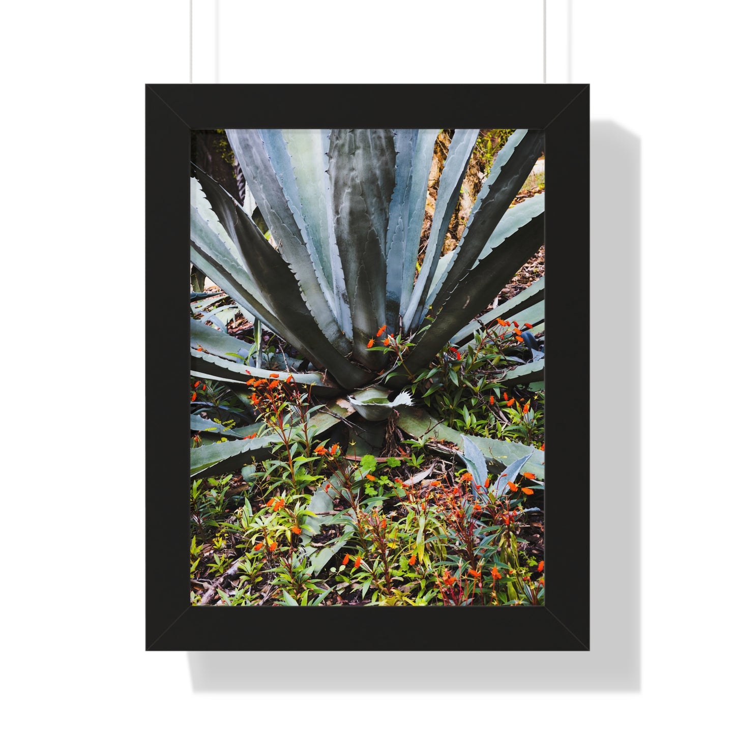 Vibrant Agave and Wildflowers Photography Print