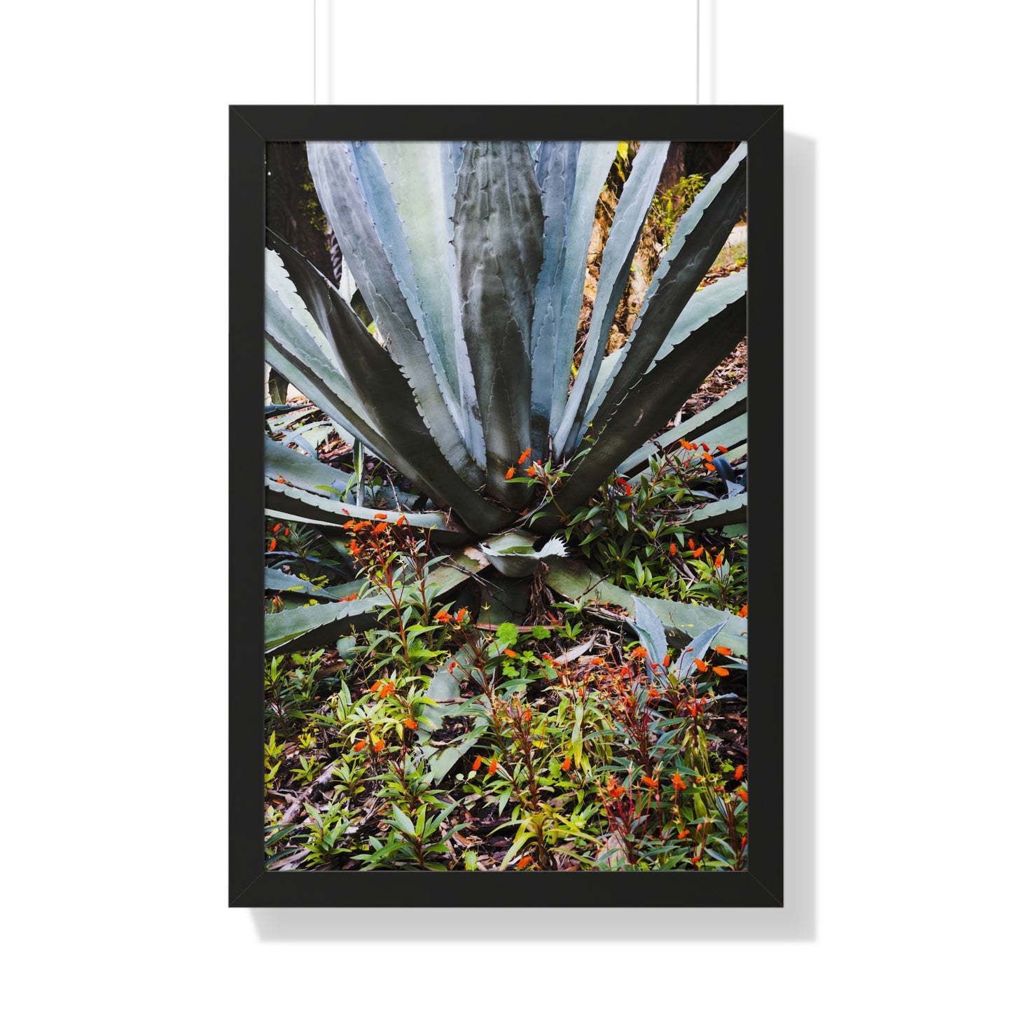 Vibrant Agave and Wildflowers Photography Print