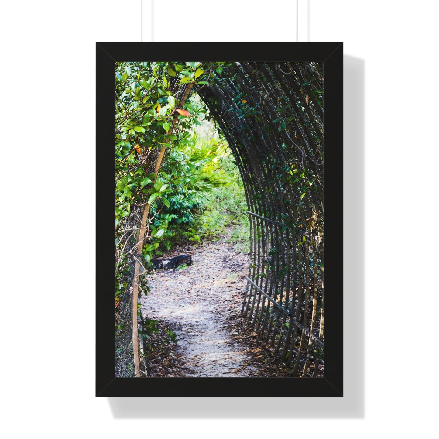 Garden Pathway Through the Arch Photography Print