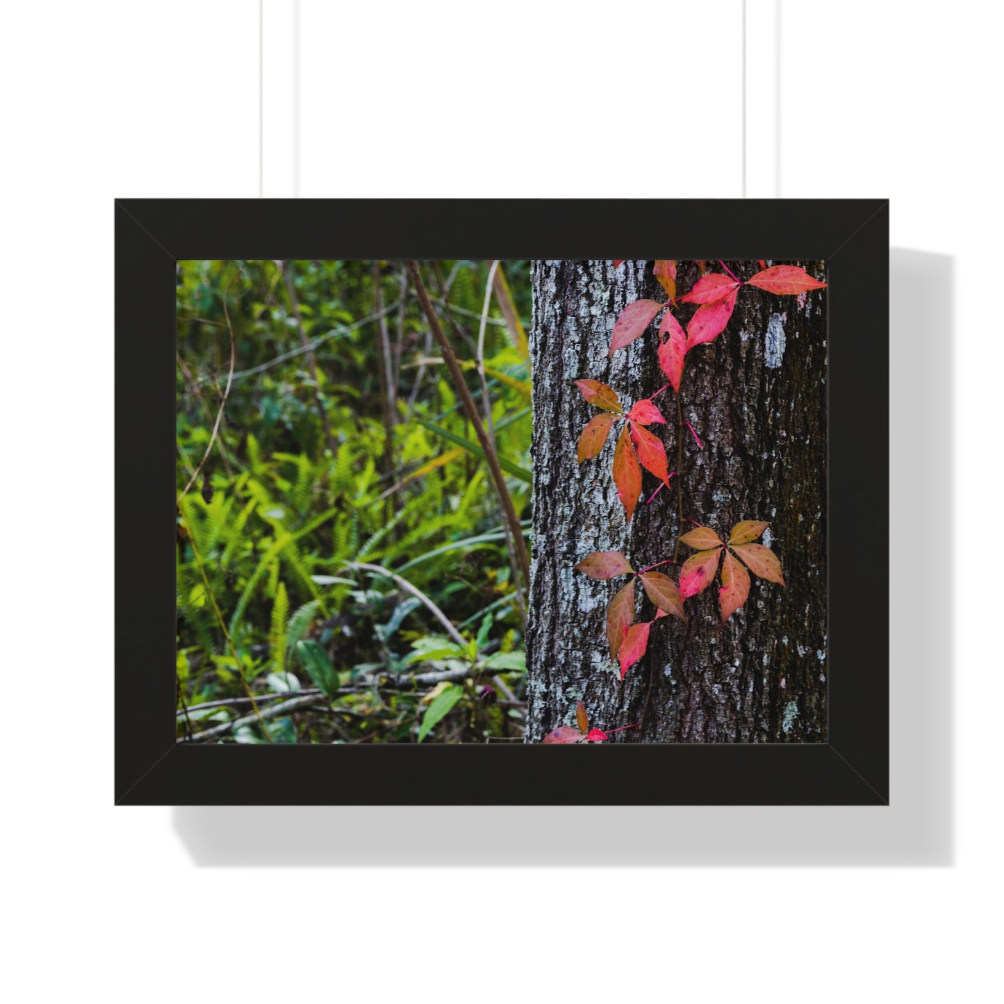 Autumn Leaves on Tree Trunk Photography Print