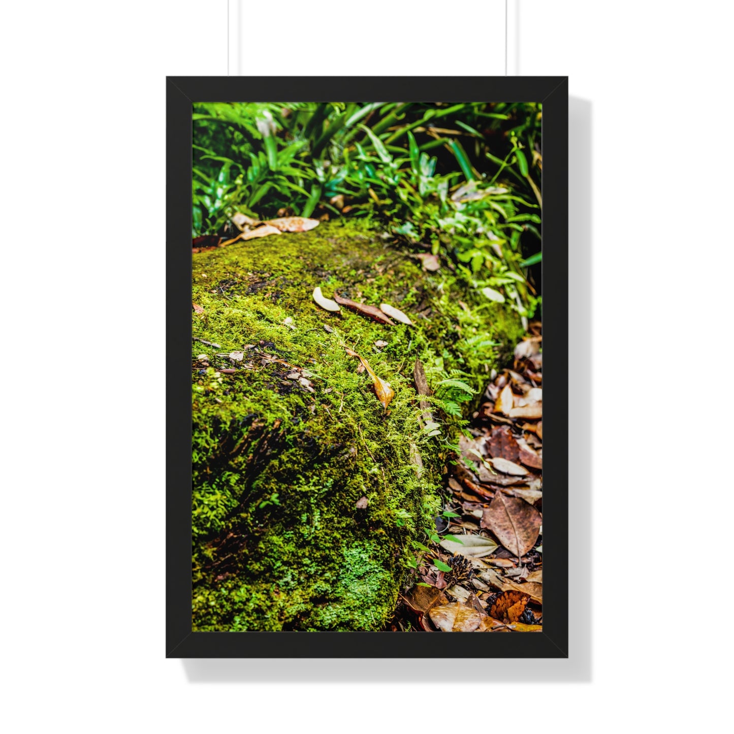 Mossy Fallen Tree in Nature Photography Print