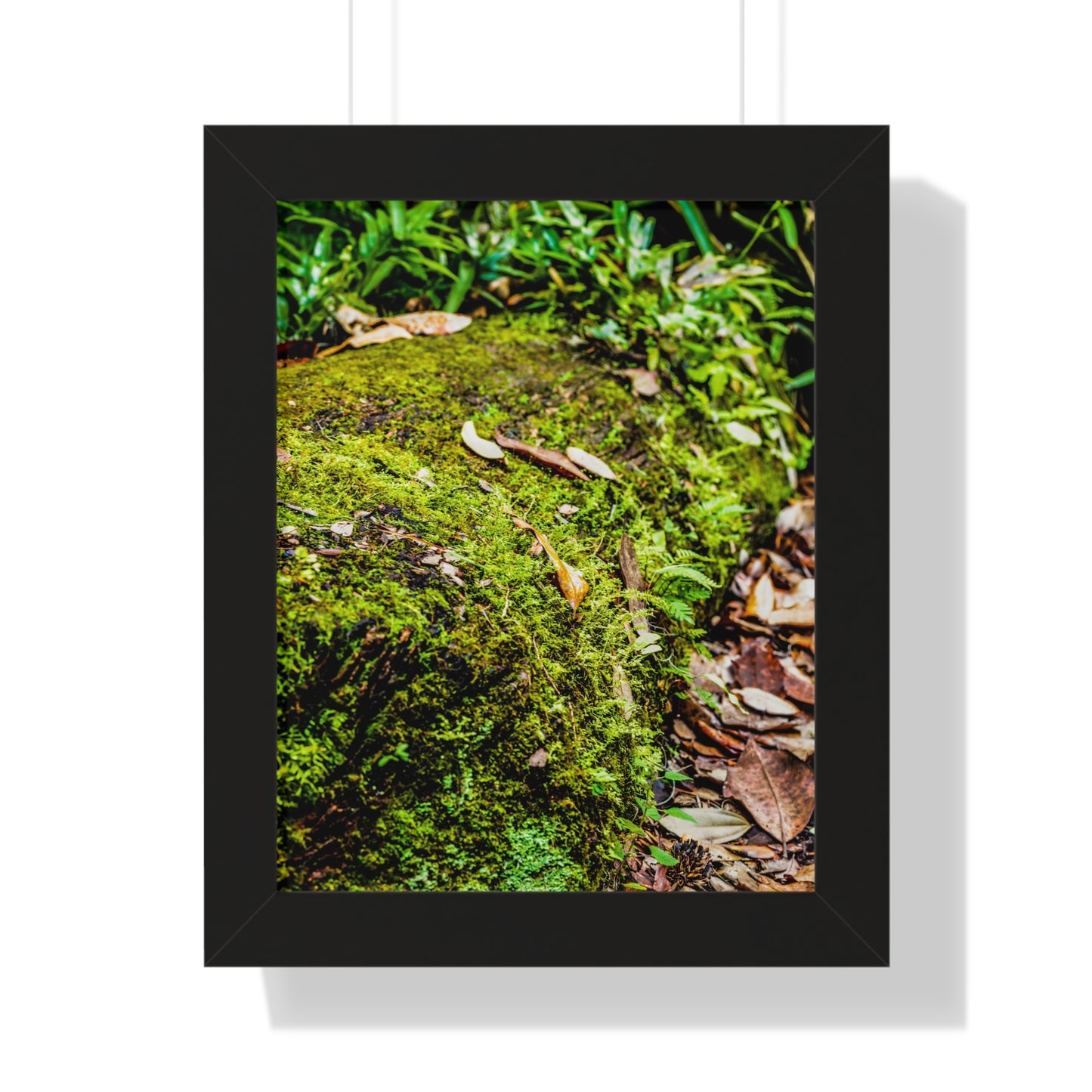 Mossy Fallen Tree in Nature Photography Print