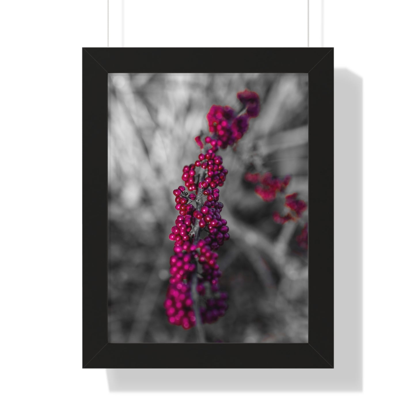 Bold Berries in Monochrome Photography Print