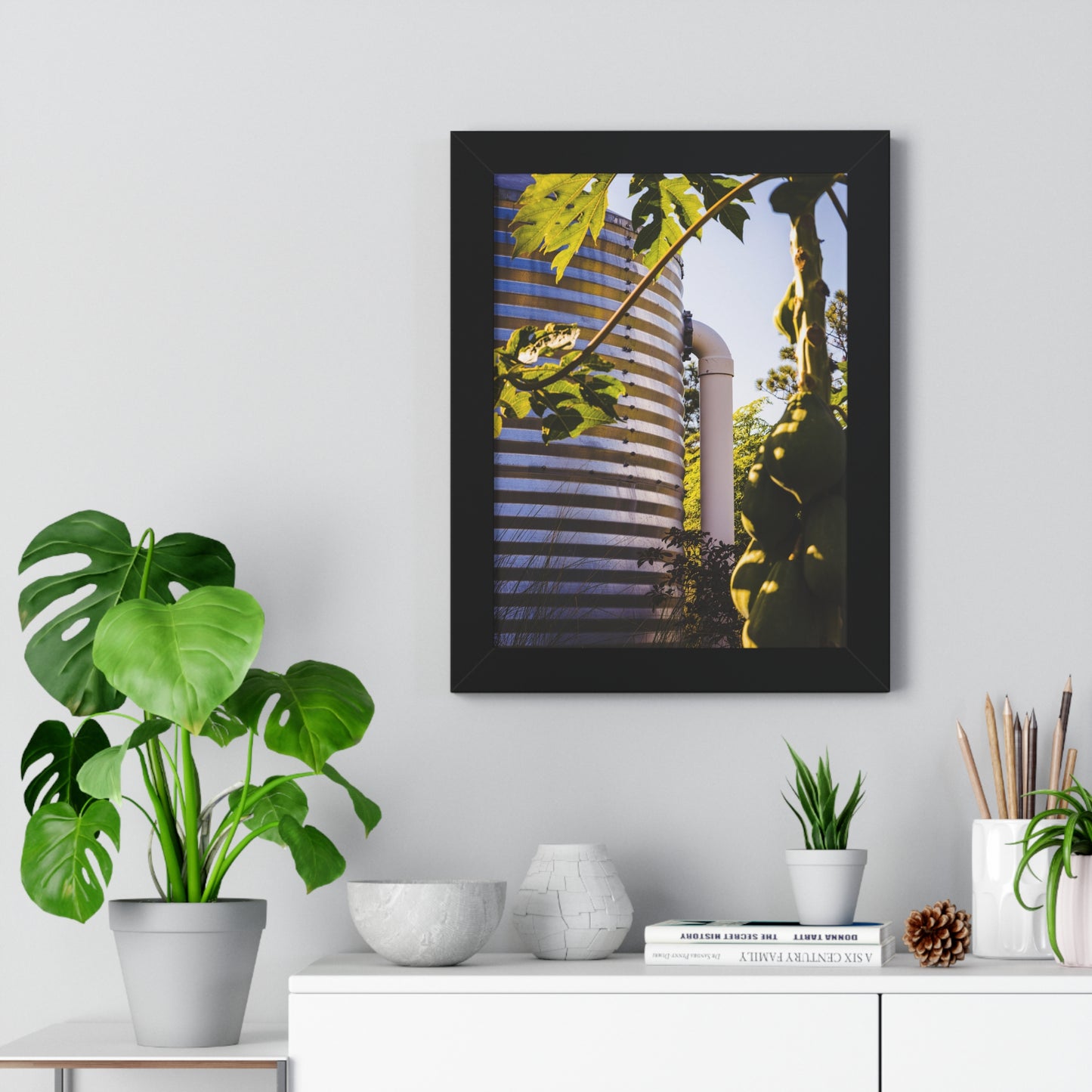 Papaya and Rainwater Tank Photography Print