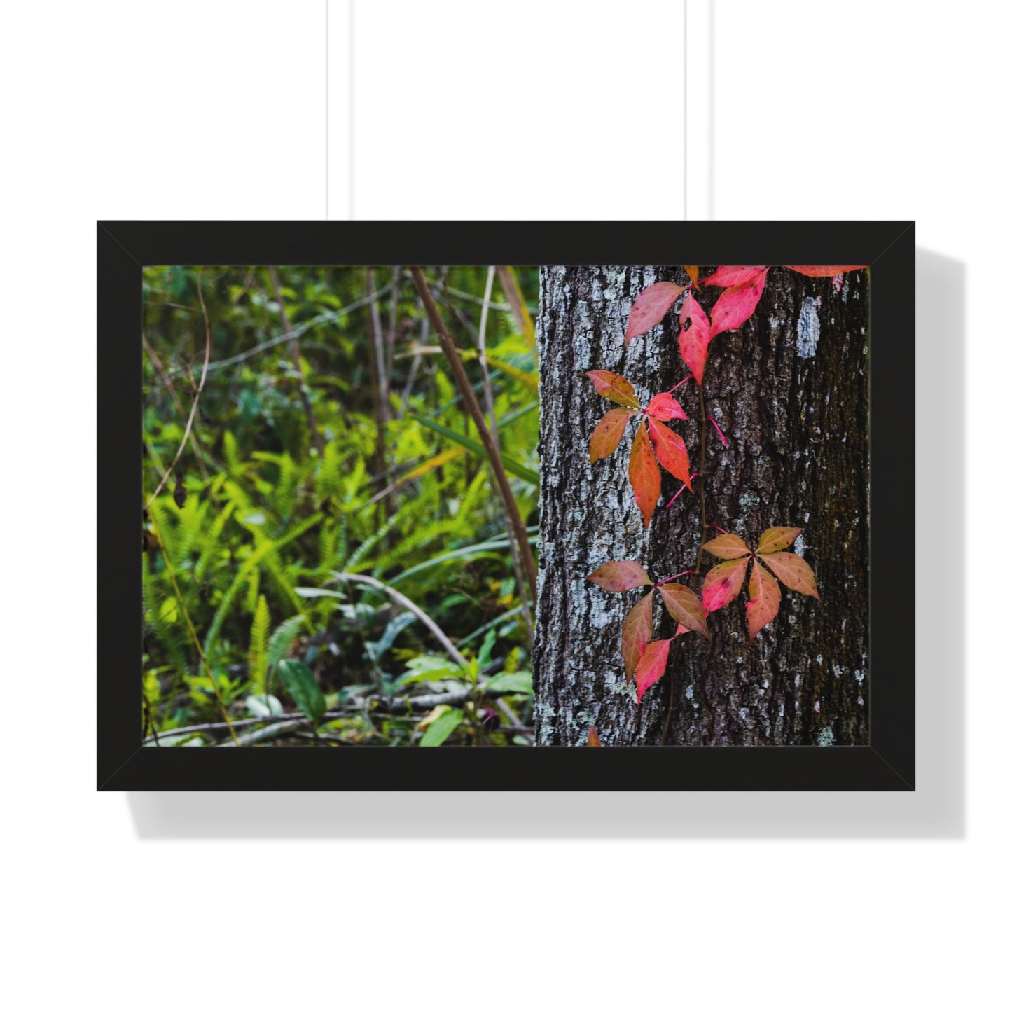 Autumn Leaves on Tree Trunk Photography Print