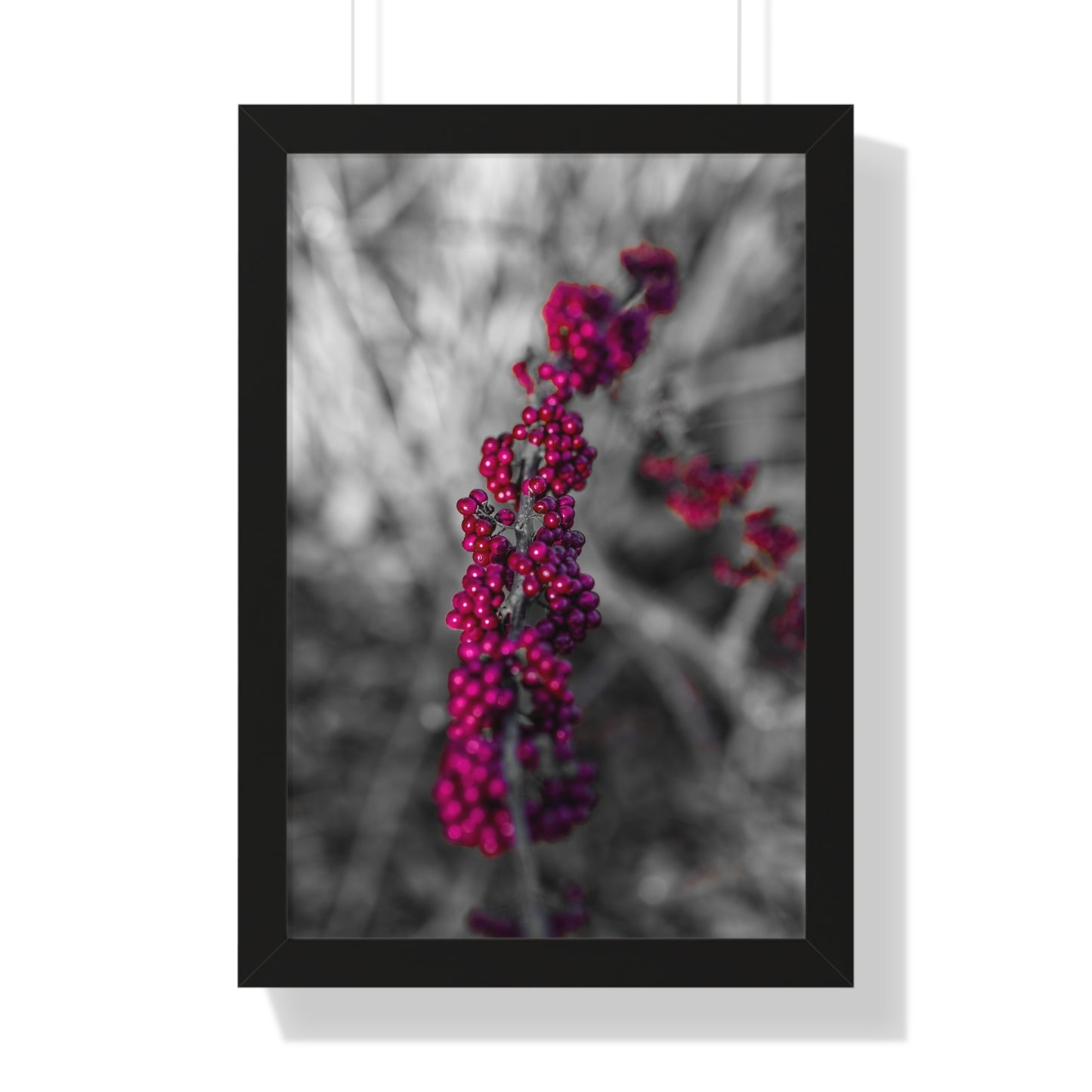 Bold Berries in Monochrome Photography Print