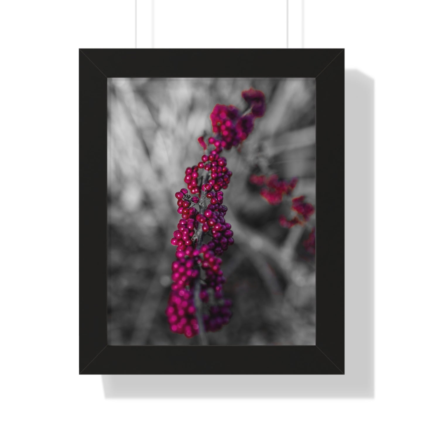 Bold Berries in Monochrome Photography Print