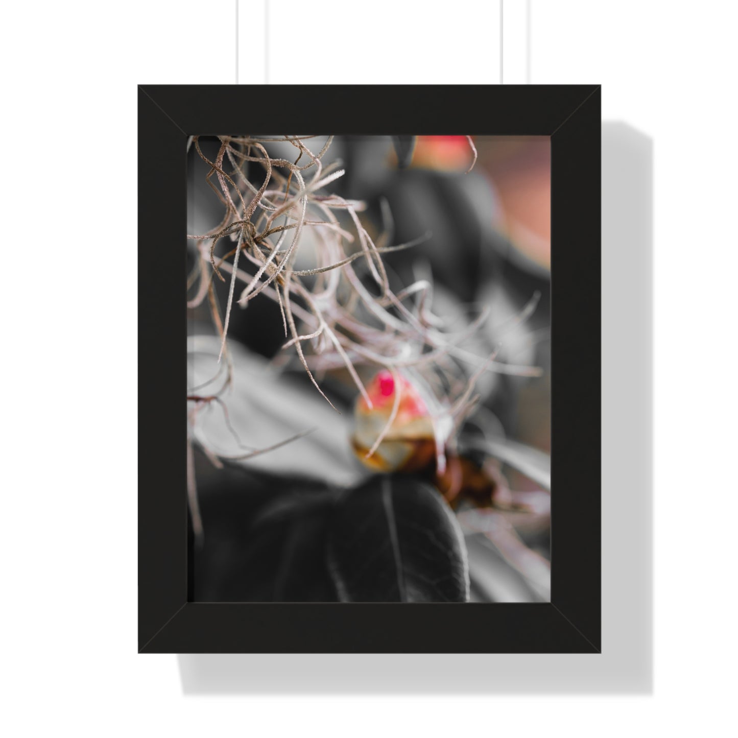 Delicate Flora with a Hint of Color Photography Print