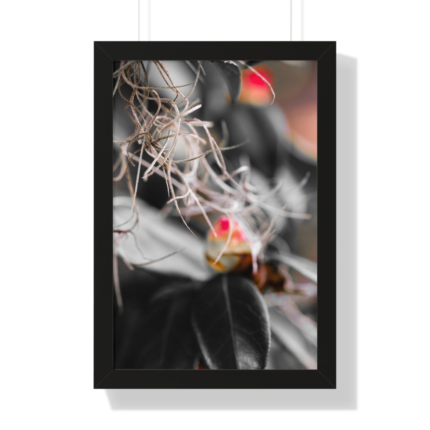 Delicate Flora with a Hint of Color Photography Print