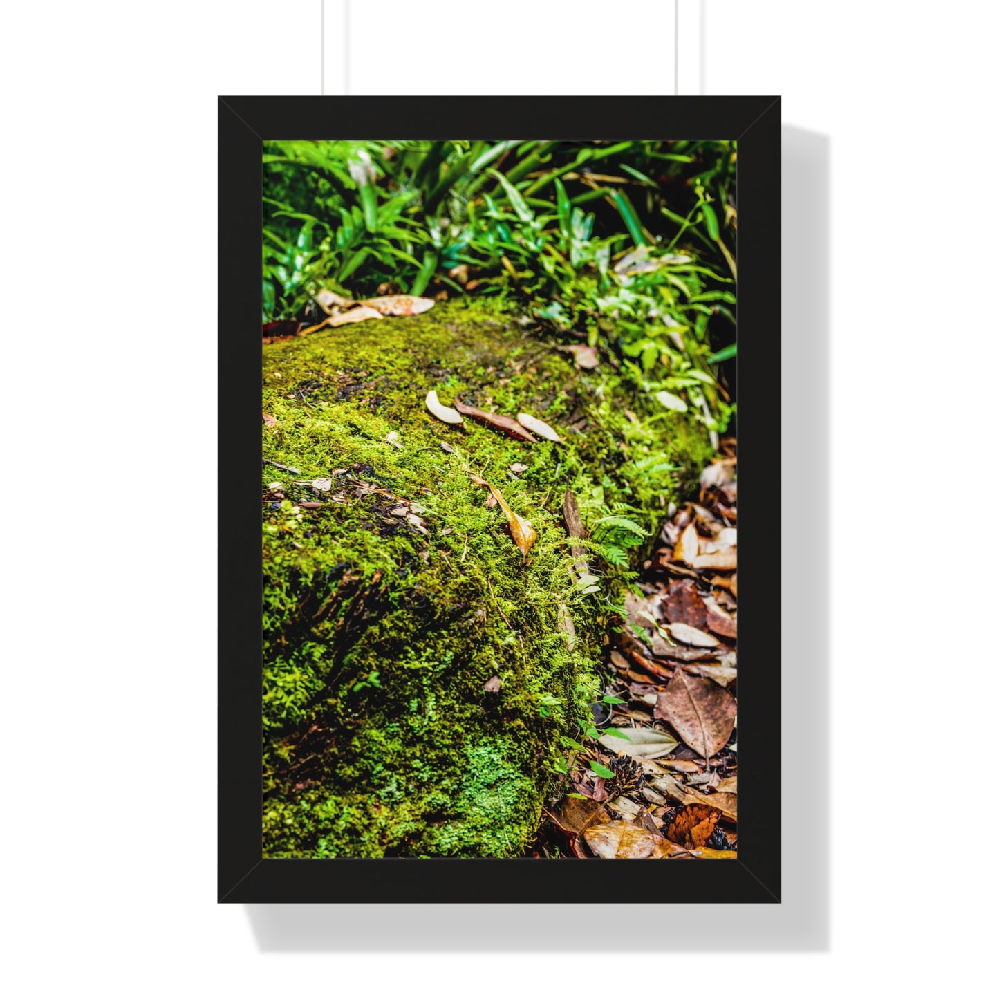 Mossy Fallen Tree in Nature Photography Print